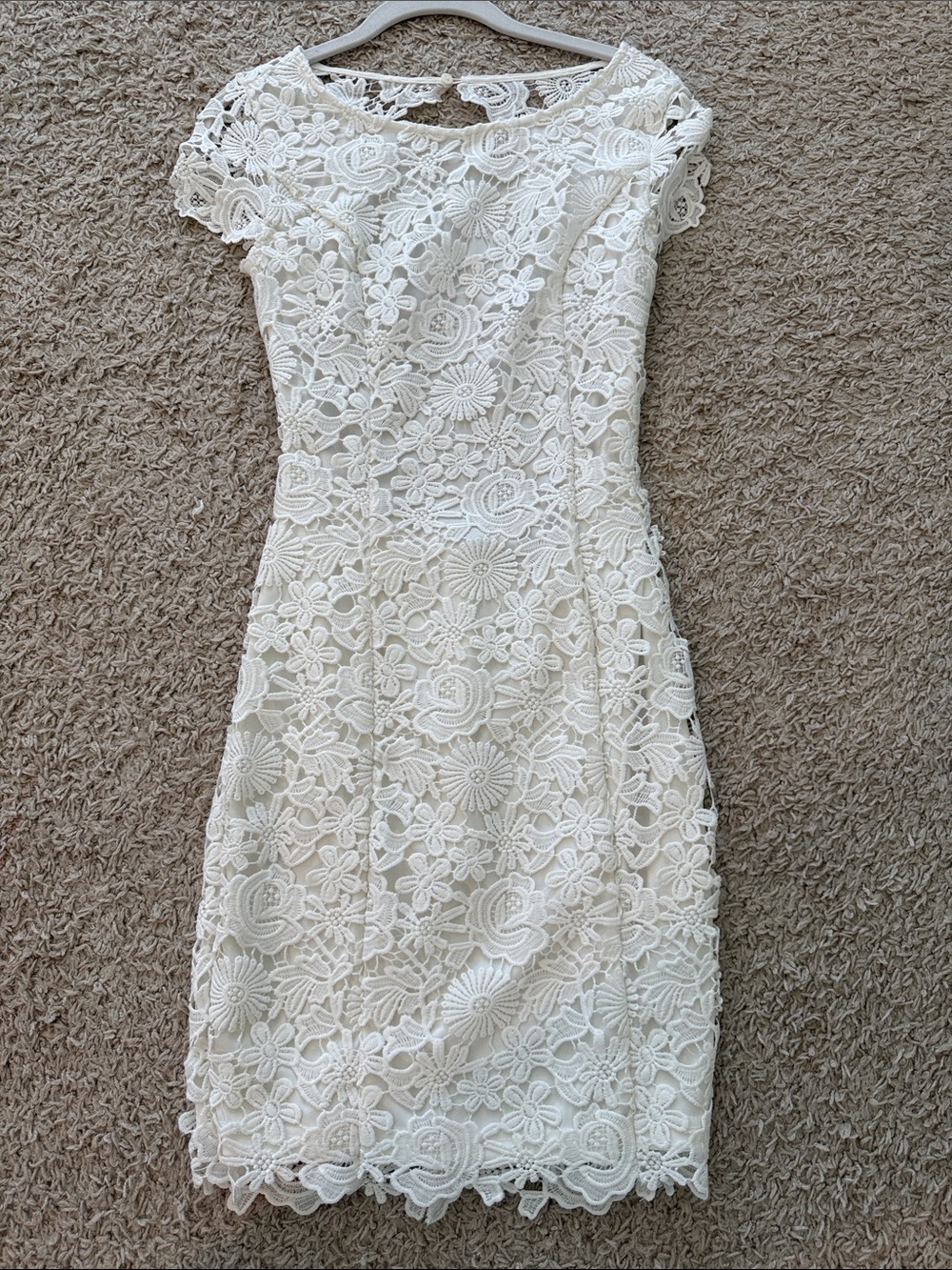 Lulu's Ivory Floral Lace Mini Dress with Cap Sleeves